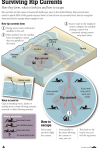 Surviving Rip Currents